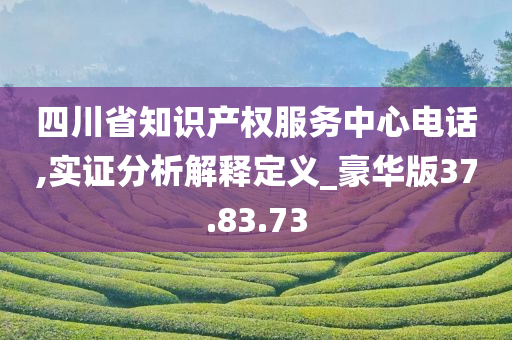 四川省知识产权服务中心电话,实证分析解释定义_豪华版37.83.73