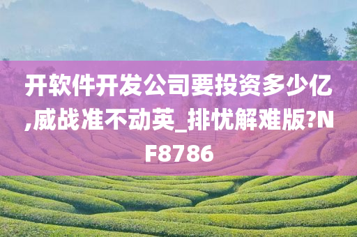 开软件开发公司要投资多少亿,威战准不动英_排忧解难版?NF8786