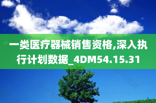 一类医疗器械销售资格,深入执行计划数据_4DM54.15.31