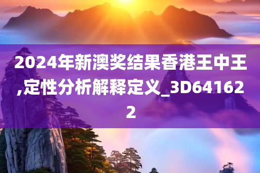 2024年新澳奖结果香港王中王,定性分析解释定义_3D641622