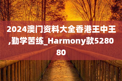 2024澳门资料大全香港王中王,勤学苦练_Harmony款528080