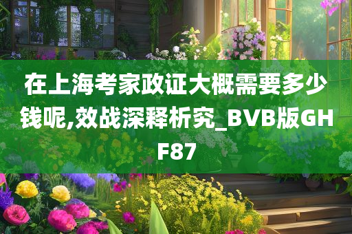 在上海考家政证大概需要多少钱呢,效战深释析究_BVB版GHF87