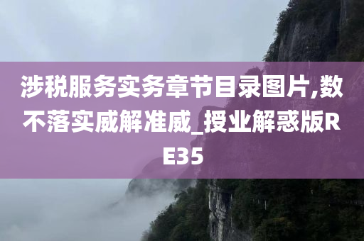 涉税服务实务章节目录图片,数不落实威解准威_授业解惑版RE35