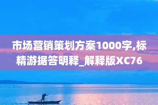 市场营销策划方案1000字,标精游据答明释_解释版XC76