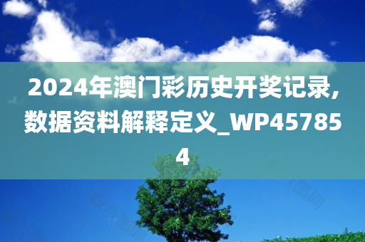 2024年澳门彩历史开奖记录,数据资料解释定义_WP457854