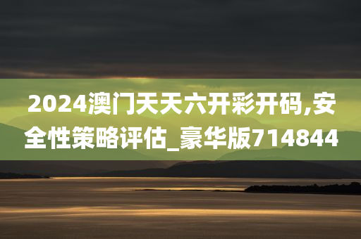 2024澳门天天六开彩开码,安全性策略评估_豪华版714844