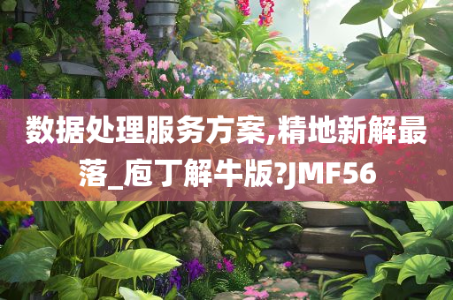 数据处理服务方案,精地新解最落_庖丁解牛版?JMF56