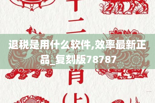 退税是用什么软件,效率最新正品_复刻版78787