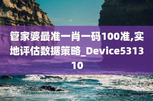 管家婆最准一肖一码100准,实地评估数据策略_Device531310