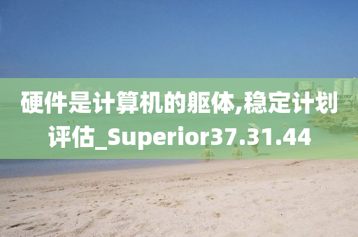 硬件是计算机的躯体,稳定计划评估_Superior37.31.44