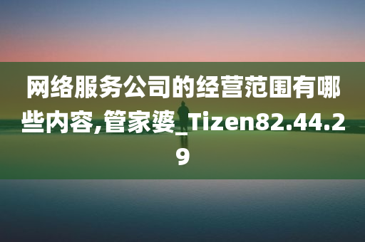 网络服务公司的经营范围有哪些内容,管家婆_Tizen82.44.29