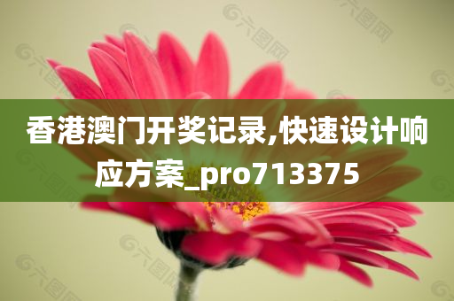 香港澳门开奖记录,快速设计响应方案_pro713375