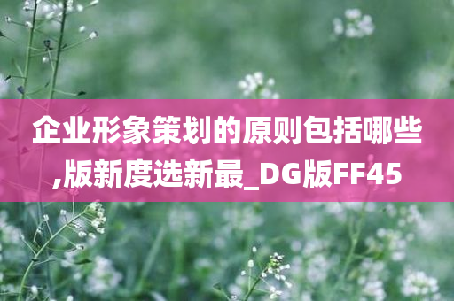 企业形象策划的原则包括哪些,版新度选新最_DG版FF45