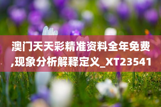 澳门天天彩精准资料全年免费,现象分析解释定义_XT235410