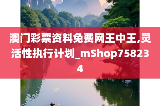 澳门彩票资料免费网王中王,灵活性执行计划_mShop758234