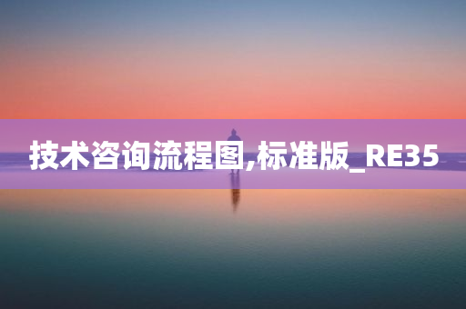 技术咨询流程图,标准版_RE35