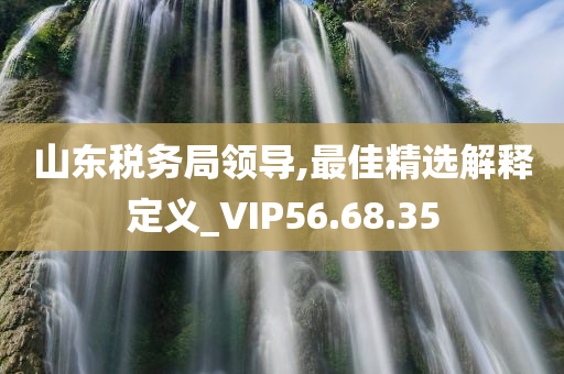 山东税务局领导,最佳精选解释定义_VIP56.68.35