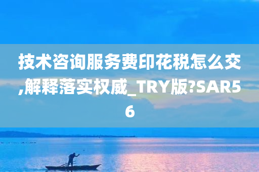 技术咨询服务费印花税怎么交,解释落实权威_TRY版?SAR56