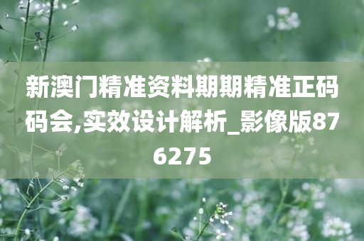 新澳门精准资料期期精准正码码会,实效设计解析_影像版876275