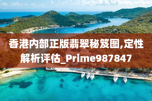 香港内部正版翡翠秘笈图,定性解析评估_Prime987847