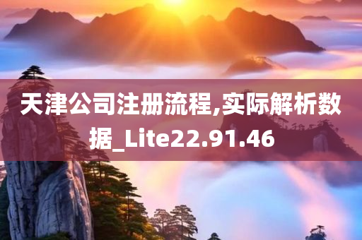 天津公司注册流程,实际解析数据_Lite22.91.46