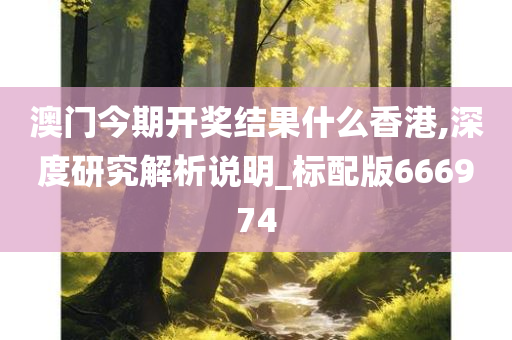 澳门今期开奖结果什么香港,深度研究解析说明_标配版666974