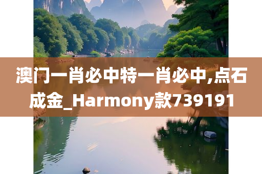 澳门一肖必中特一肖必中,点石成金_Harmony款739191