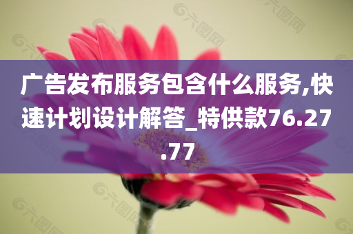 广告发布服务包含什么服务,快速计划设计解答_特供款76.27.77