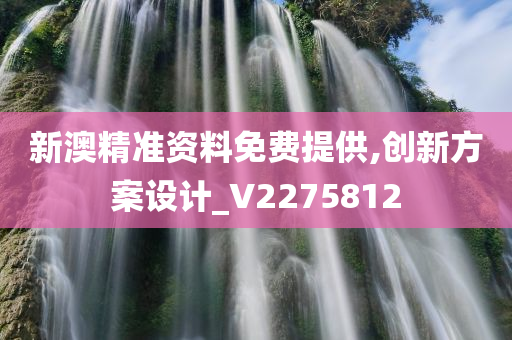 新澳精准资料免费提供,创新方案设计_V2275812