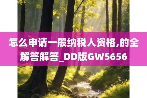 怎么申请一般纳税人资格,的全解答解答_DD版GW5656