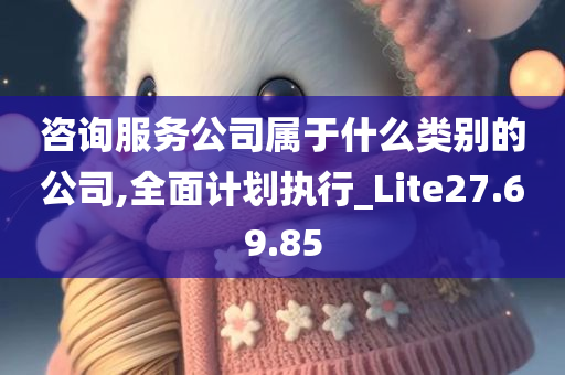 咨询服务公司属于什么类别的公司,全面计划执行_Lite27.69.85