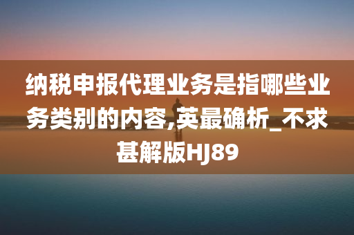 纳税申报代理业务是指哪些业务类别的内容,英最确析_不求甚解版HJ89