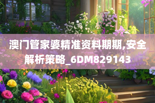 澳门管家婆精准资料期期,安全解析策略_6DM829143