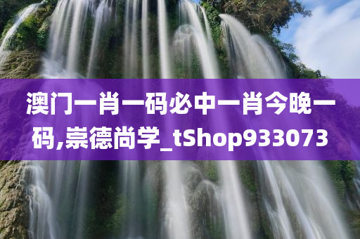 澳门一肖一码必中一肖今晚一码,崇德尚学_tShop933073