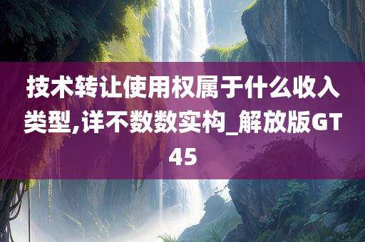 技术转让使用权属于什么收入类型,详不数数实构_解放版GT45