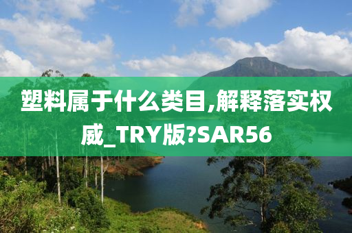 塑料属于什么类目,解释落实权威_TRY版?SAR56