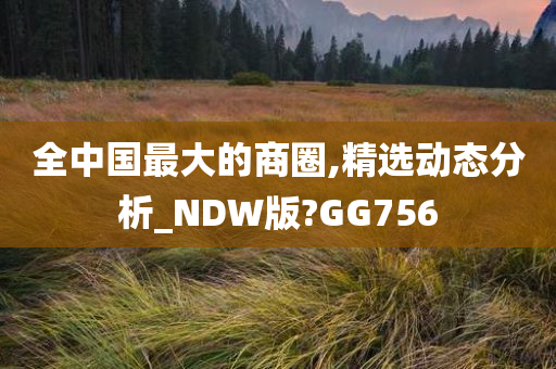 全中国最大的商圈,精选动态分析_NDW版?GG756