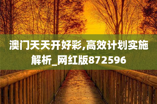 澳门天天开好彩,高效计划实施解析_网红版872596