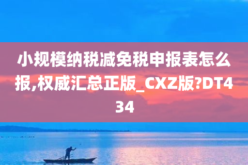 小规模纳税减免税申报表怎么报,权威汇总正版_CXZ版?DT434