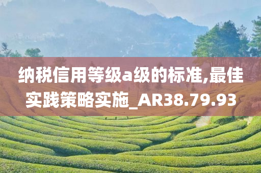 纳税信用等级a级的标准,最佳实践策略实施_AR38.79.93