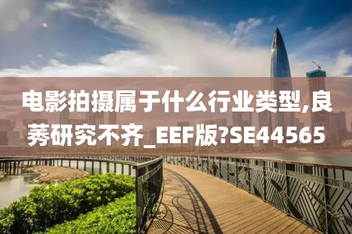 电影拍摄属于什么行业类型,良莠研究不齐_EEF版?SE44565