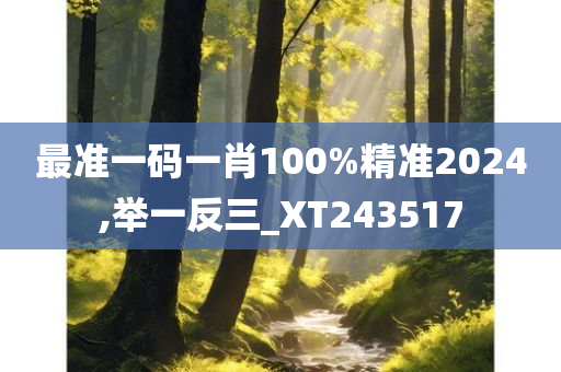 最准一码一肖100%精准2024,举一反三_XT243517