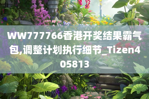 WW777766香港开奖结果霸气包,调整计划执行细节_Tizen405813