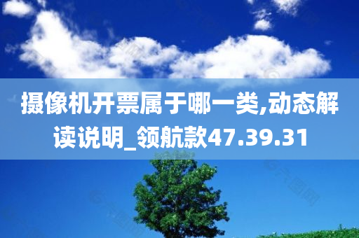 摄像机开票属于哪一类,动态解读说明_领航款47.39.31