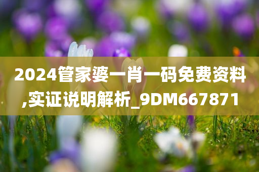 2024管家婆一肖一码免费资料,实证说明解析_9DM667871