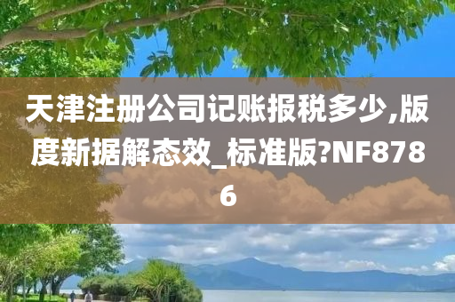 天津注册公司记账报税多少,版度新据解态效_标准版?NF8786