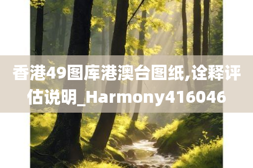 香港49图库港澳台图纸,诠释评估说明_Harmony416046