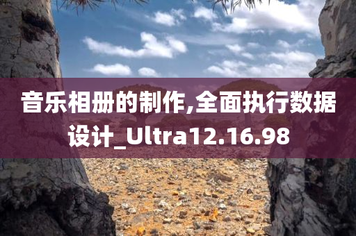 音乐相册的制作,全面执行数据设计_Ultra12.16.98