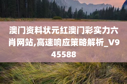 澳门资料状元红澳门彩实力六肖网站,高速响应策略解析_V945588