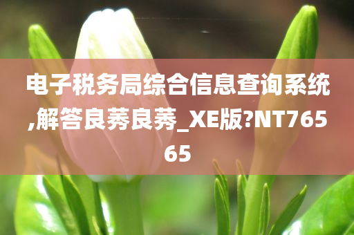 电子税务局综合信息查询系统,解答良莠良莠_XE版?NT76565